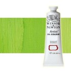 Materiais Belas Artes - Oleo Artstis Winsor & Newton, Verde Cadmio Palido, 37 ml. | totenart.com
