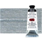 Materiais Belas Artes - Acrilico Vallejo Artist Prata Antiguo, 60 ml. | totenart.com