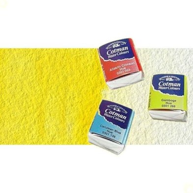 Materiais Belas Artes - Aquarela W&N, 1/2 godet, Amarelo Limao | totenart.com