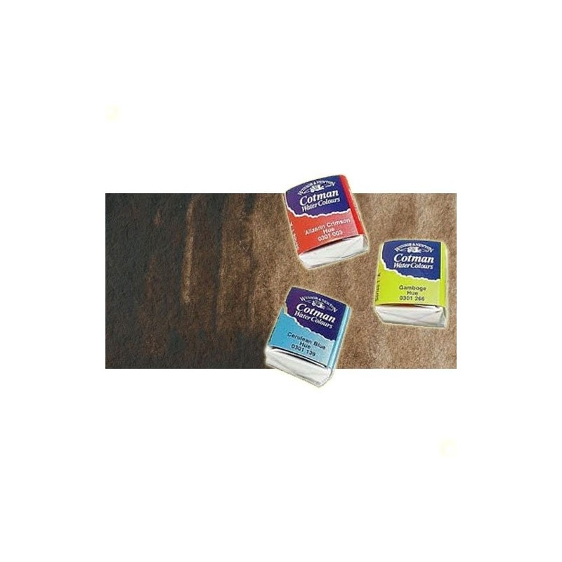 Materiais Belas Artes - Aquarela W&N, 1/2 godet, Brown Van Dicke | totenart.com