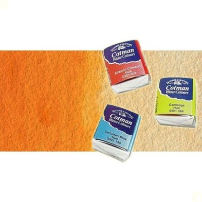 Materiais Belas Artes - Aquarela W&N, 1/2 godet, Laranja de Cadmio | totenart.com