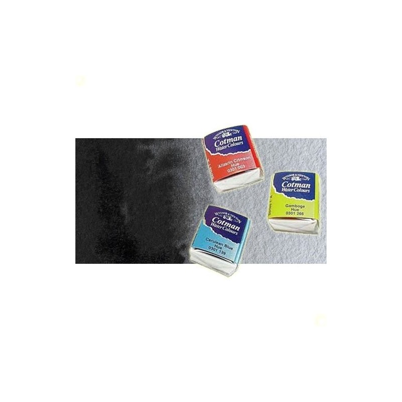 Materiais Belas Artes - Aquarela W&N, 1/2 godet, Preto Fumaca | totenart.com