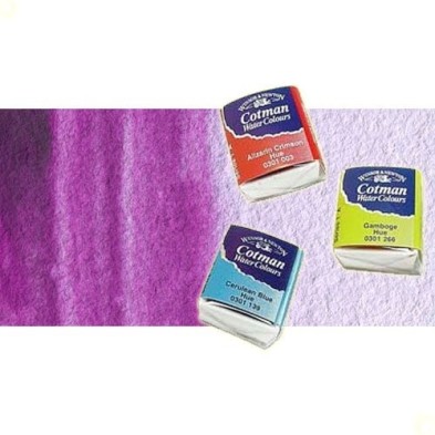 Materiais Belas Artes - Aquarela W&N, 1/2 godet, Purpura | totenart.com