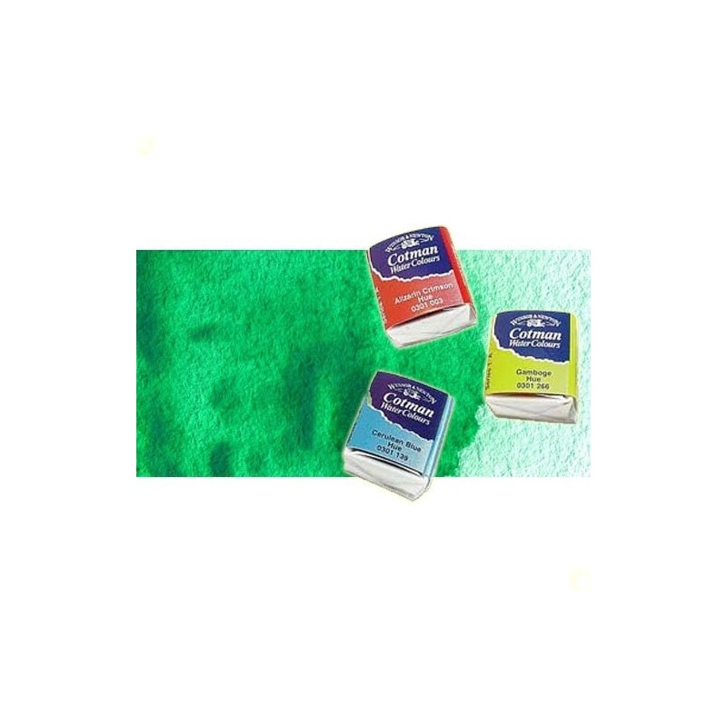 Materiais Belas Artes - Aquarela W&N, 1/2 godet, Verde Esmeralda | totenart.com