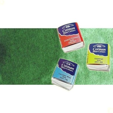 Materiais Belas Artes - Aquarela W&N, 1/2 godet, Verde Hookers claro | totenart.com