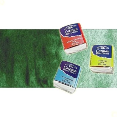 Materiais Belas Artes - Aquarela W&N, 1/2 godet, Verde Hookers Escuro | totenart.com