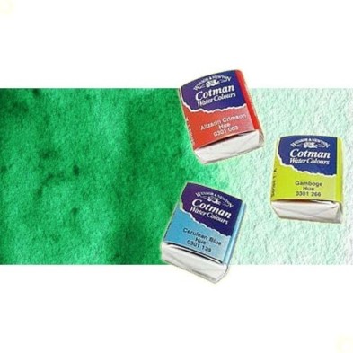 Materiais Belas Artes - Aquarela W&N, 1/2 godet, Verde Intenso | totenart.com