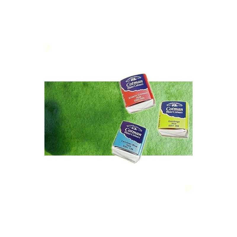 Materiais Belas Artes - Aquarela W&N, 1/2 godet, Verde Seiva | totenart.com