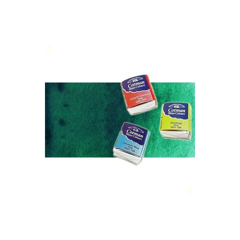 Materiais Belas Artes - Aquarela W&N, 1/2 godet, Viridiana | totenart.com