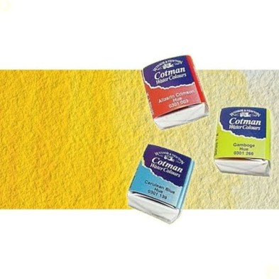 Materiais Belas Artes - Aquarela W&N, 1/2 godet, Amarelo Cadmio | totenart.com