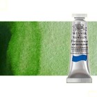 Materiais Belas Artes - Aquarela Artist Verde Vejiga Perm. 5 ml, W N 503 | totenart.com