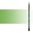 Materiais Belas Artes - Lapiz Aquarelavel Verde Moss Claro Cretacolor Marino | totenart.com
