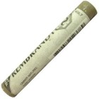 Pastel Rembrandt Terra sombra natural 7