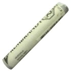 Pastel Rembrandt Cinza Rato 8