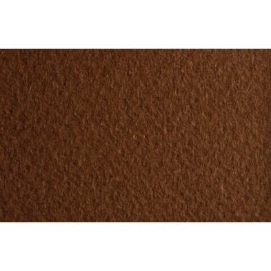 Materiais Belas Artes - Fabriano Tiziano, 160 gr., 50x65, Caffe | totenart.com