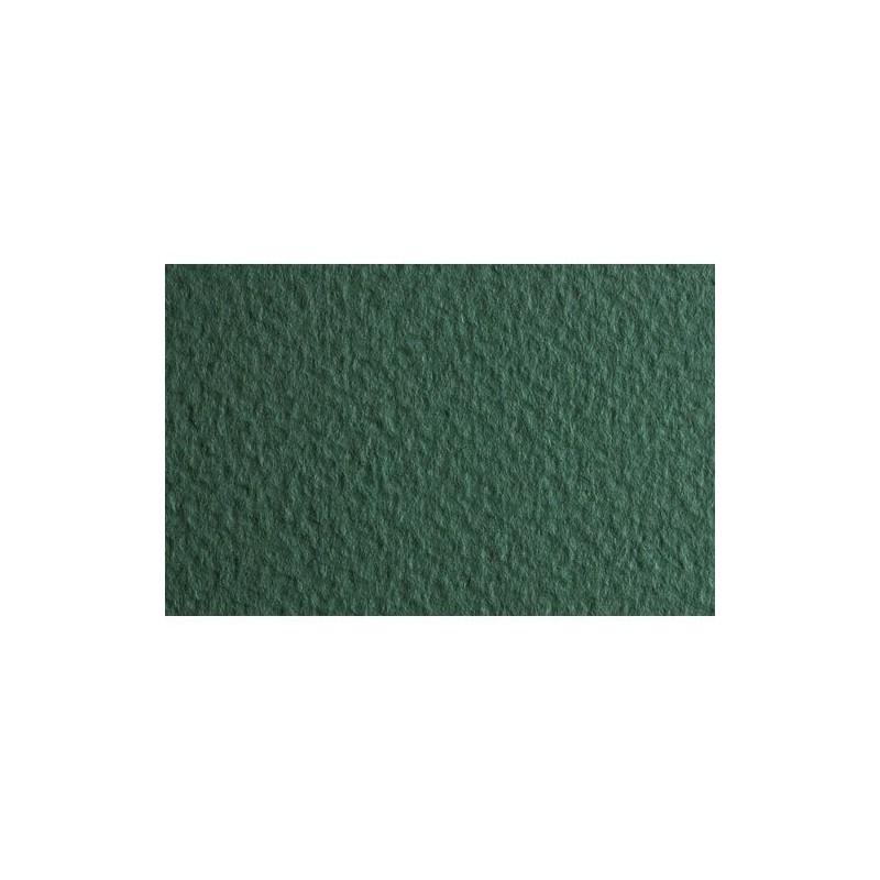 Materiais Belas Artes - Fabriano Tiziano, 160 gr., 50x65, Salvia | totenart.com