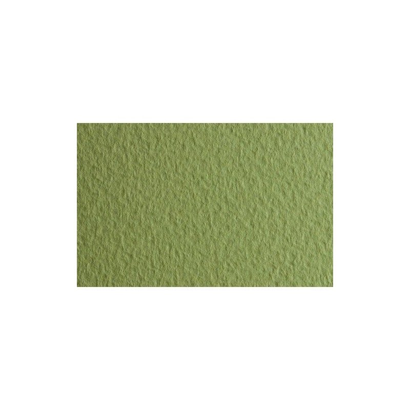 Materiais Belas Artes - Fabriano Tiziano, 160 gr., 50x65, Verduzzo | totenart.com