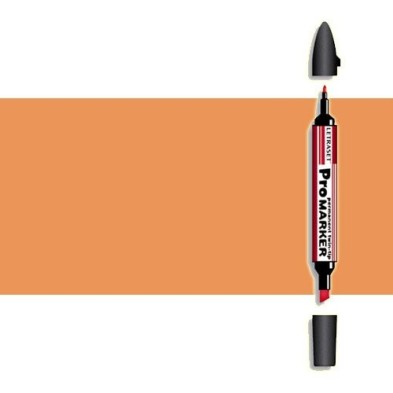 Materiais Belas Artes - Marcador Promarker Ginger O136 | totenart.com