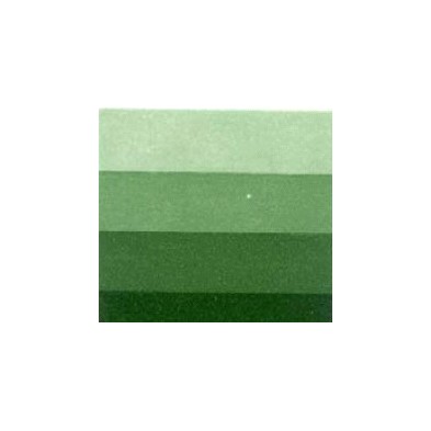 Tinta de Gravura Verde Vejiga Charbonnel, 60 ml.