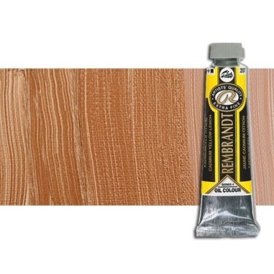 Materiais Belas Artes - Óleo Rembrandt cor Bronze 811 (40 ml.) | totenart.com