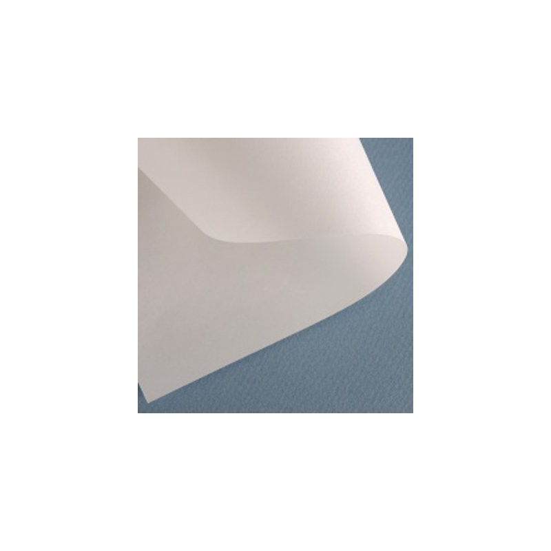 Materiais Belas Artes - Paper Barrera Canson, 80 gr, 80x120 cm. | totenart.com