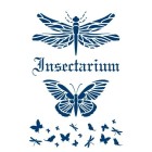 Materiais Belas Artes - Stencil 13 Insectarium 20x30cm. La Pajarita | totenart.com