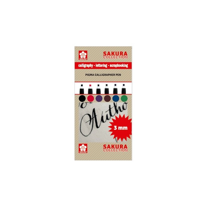 Materiais Belas Artes - Set 6 marcadores Pigma Calligrapher Pen 3mm Sakura  | totenart.com\n