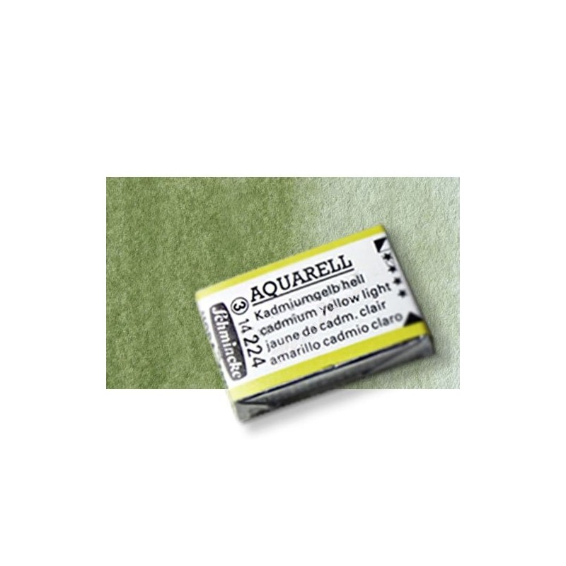 Materiais Belas Artes - Aquarela Schmincke Horadam, Terra Verde 516, Godet Completa. | totenart.com