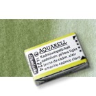 Materiais Belas Artes - Aquarela Schmincke Horadam, Terra Verde 516, Godet Completa. | totenart.com