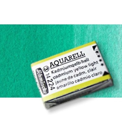 Materiais Belas Artes - Aquarela Schmincke Horadam, \n\nVerde da Ftalocianina 519, Godet Completa. | totenart.com