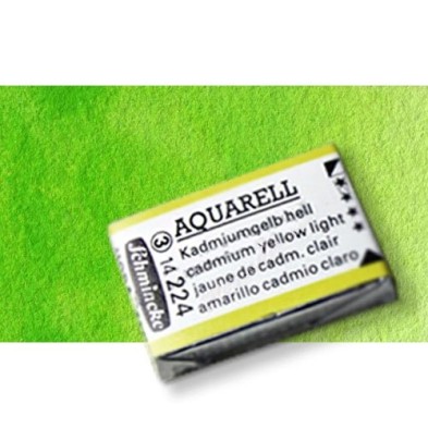 Materiais Belas Artes - Aquarela Schmincke Horadam, \n\nVerde da Maio 524, Godet Completa. | totenart.com