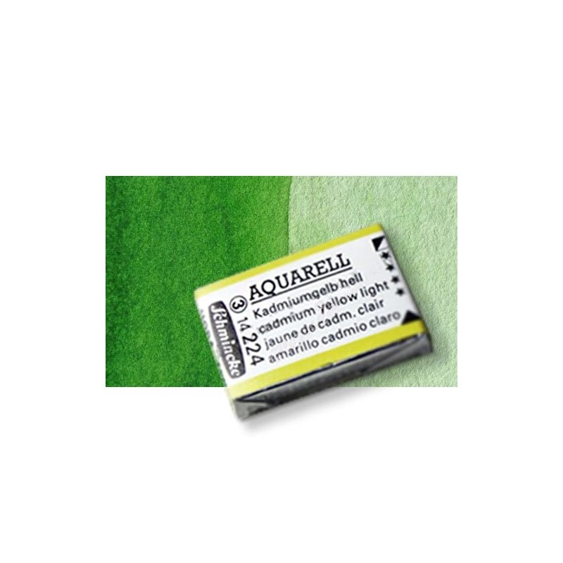 Materiais Belas Artes - Aquarela Schmincke Horadam, \n\nVerde Bexiga 530, Godet Completa. | totenart.com