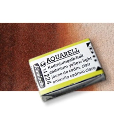 Materiais Belas Artes - Aquarela Schmincke Horadam, Marrom Transparente 648, Godet Completa. | totenart.com