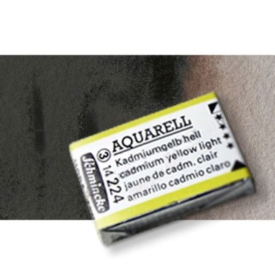 Materiais Belas Artes - Aquarela Schmincke Horadam, \n\n\nSepia Marrom Avermelhado 662, Godet Completa. | totenart.com