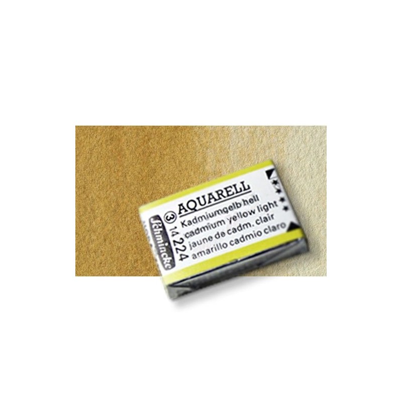 Materiais Belas Artes - Aquarela Schmincke Horadam, \n\n\n\nSombra Natural 667, Godet Completa. | totenart.com