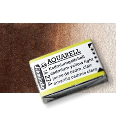 Materiais Belas Artes - Aquarela Schmincke Horadam, \n\nUmber Queimado 668, Godet Completa. | totenart.com