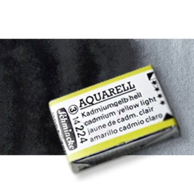 Materiais Belas Artes - Aquarela Schmincke Horadam, \n\n\n\nCinza de Payne Schmincke 783, Godet Completa. | totenart.com