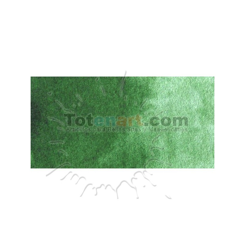 Materiais Belas Artes - Aquarela W&N, 1/2 godet, Verde Hookers claro | totenart.com