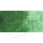 Materiais Belas Artes - Aquarela W&N, 1/2 godet, Verde Hookers claro | totenart.com