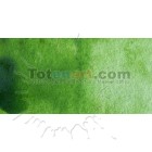 Materiais Belas Artes - Aquarela W&N, 1/2 godet, Verde Seiva | totenart.com