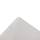 Papel Illustration Canson 50x65 cm., 250 gr.