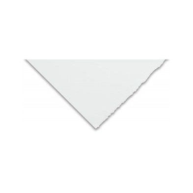 Canson Edition 250 gr., 76x112 cm., Extra Branco
