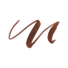 Materiais Belas Artes - Marcador Pincel Pentel Touch, Castanho | totenart.com