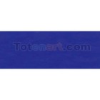 Materiais Belas Artes - Aquarela Liquida Talens Azul Ultramarino Violeta, 30 ml. | totenart.com