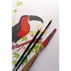 Materiais Belas Artes - Bloco de papel Calco A4, 70 gr. 50 h. Clairefontaine | totenart.com