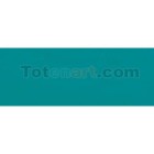 Materiais Belas Artes - Aquarela Liquida Talens Verde Pino, 30 ml. | totenart.com