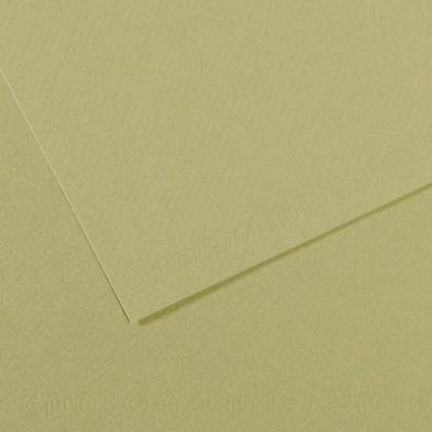 Mi-teintes Canson Salmao, 160 gr., 50x65 cm.