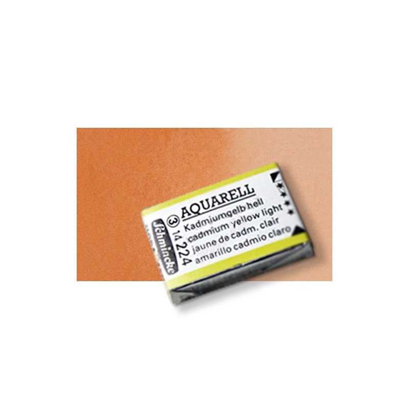 Materiais Belas Artes - Aquarela Schmincke Horadam, \n\n\n\nSienna Transparente 653, Godet Completa. | totenart.com