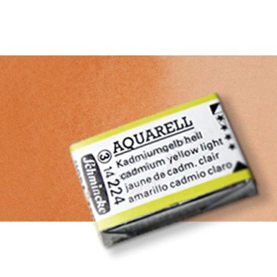 Materiais Belas Artes - Aquarela Schmincke Horadam, \n\n\n\nSienna Transparente 653, Godet Completa. | totenart.com