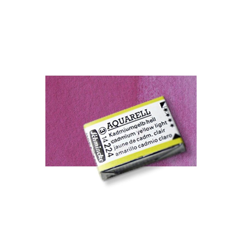 Materiais Belas Artes - Aquarela Schmincke Horadam, Violeta Cridaquidone 368, Godet Completa. | totenart.com